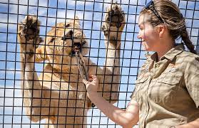 So You Want To Be A Zoo Keeper? Find Out How From Zoossa's Keepers