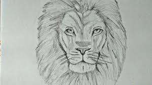 How to draw a lion's face step by step, learn drawing by this tutorial for kids and adults. Learn How To Draw Lion Face Youtube