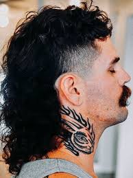 40 Burst Fade Mullet Hairstyles That Redefine Cool