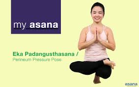 Padangusthasana yoga is a major asana. Eka Padangusthasana Perineum Pressure Pose Asana International Yoga Journal