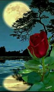 Pin De Lucia Helena En Moon Paisajes Hermosos De Amor Imagenes Bonitas Paisajes Hermosos Paisajes