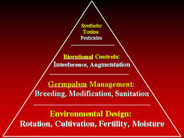 International organization for biological control. Biological Control Of Plant Pathogens Research Commercialization And Application In The Usa