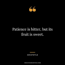 55 Patience Quotes For Better Tolerance Endure In 2020 Aristotle Quotes Wise Quotes Philosophy Quotes