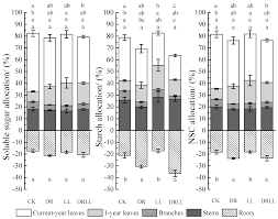 While godaddy.com llc was its first registrar, now it is moved to godaddy.com llc. Forests Free Full Text Combined Effects Of Drought And Shading On Growth And Non Structural Carbohydrates In Pinus Massoniana Lamb Seedlings Html