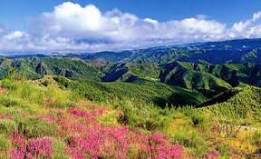 It is identifiable through the vectors of its character such as protestantism, anthropisation of the landscape, chestnut trees, silk Cevennes National Park Bookingbox France