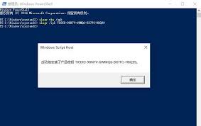 Nov 30, 2020 · to activate windows 10 pro, you need a windows 10 pro product key or digital license. How To Get The Permanent Activation Key Of Windows 10 2009 Professional Edition Develop Paper