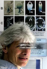 145 Lawrence Goldberg Stock Photos, High-Res Pictures, and Images