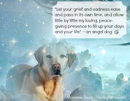 See More Comforting Messages From Pets In The Afterlife In The Healing Pet Loss Book Http Www Amazon Com Dp 1502334283 Petloss Dog Poems Pets Dog Heaven