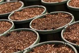 As these materials break down, they turn into a fine, loamy, material that has the consistency of soil. 5 Best Potting Soil For Plants Reviews Buying Guide Trees Com