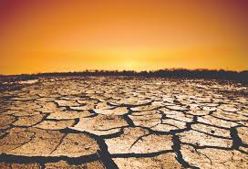 Image result for global warming photos