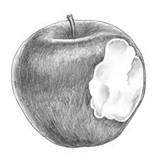 You might think that drawing is like touching your tongue to your nose: How To Draw Cool Stuff The 5 Minute Workbook Holmes Catherine V 9781732888845 Amazon Com Books