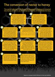 Winter Studies How Honeybees Use Nectar Pollen Propolis