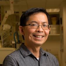 🐸 Before refrigeration, Russians kept milk fresh by dropping live brown…