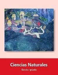 Busca tu tarea de ciencias naturales sexto grado: Ciencias Naturales Sexto 2019 2020 Ciclo Escolar Centro De Descargas