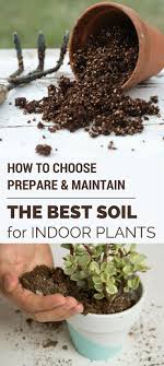 How To Choose Prepare Maintain The Best Soil For Indoor Plants Gardentipz Com Indoor Plants Garden Soil House Plants Indoor