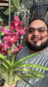 What are some beginner-friendly gardening tips and recommendations for a  small backyard in Dubai?