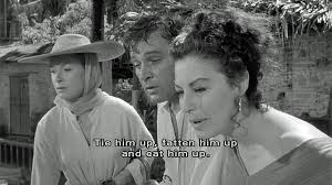 زیرنویس The Night of the Iguana 1964 - بلو سابتايتل