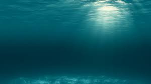Tranquil Underwater Scene With Light Rays Algae And Caustics On Ocean Floor Royalty Free Stock Video And Stock Free Stock Video Underwater Motion Backgrounds