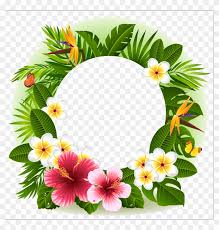 Find the perfect white tropical flowers stock photos and editorial news pictures from getty images. Tropical Flower Decorative Borders Tropical Flower Frame Png Free Transparent Png Clipart Images Download