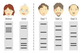 Dna testing can be completed as early as 9 weeks along. Paternity Tests How Do They Work And How Accurate Are They