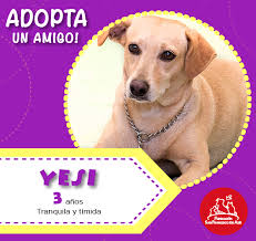 Ana Billingslea (@Ana_Billiarj)