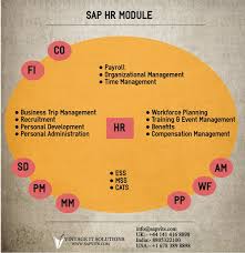 Sap Human Resource Management Module Manages All Functions From Hiring An Employee To Its Organizational Management Human Resource Management Travel Management