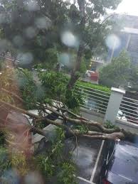 We did not find results for: Bukit Jelutong Shah Alam Maybank Soalan 47