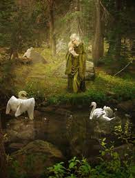 Swan Maiden By Jinxmim On Deviantart Swan Pictures Fan Fiction Stories Maiden