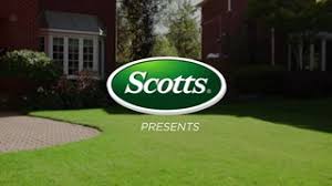 Scotts® grubex® (amazon) is a specialized product designed to eradicate the japanese beetle larvae wreaking havoc on your lawn from beneath. Scotts Grub B Gon Grub Killer 1 4 Kg Canadian Tire
