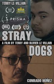 Stray Dogs