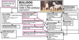 shan i blog graph chart map and citation