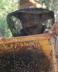 Sustainable Alternatives