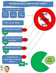 Starting Solids While Protecting Breastfeeding Deschutes