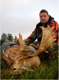 We did not find results for: Dovhjort Borntohunt Alexandra Hellstrom