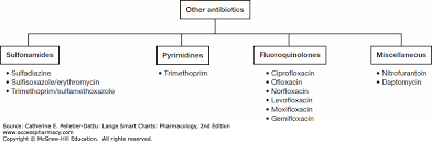 Antimicrobial Medications Lange Smart Charts Pharmacology