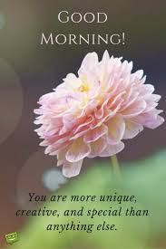 1.1 process to download beautiful good morning images with quotes for friends & lover. Good Morning Encouraging Quote For A Friend On Photo Of Beautiful Flower
