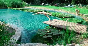 La Piscina Biologica Bio Lago Del Agriturismo Natural Swimming Pools Diy Swimming Pool Swimming Pool Pond