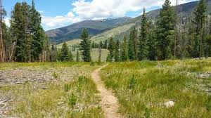 Check spelling or type a new query. Best Dogs Trails In Silverthorne Colorado Alltrails