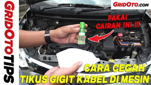 Cara mengatasi pintu mobil yang bunyi, pintu mobil, bunyi pintu mobil, mengatasi bunyi pada pintu mobil, atasi bunyi pada pintu. Tips Hilangkan Bunyi Di Engsel Pintu Mobil Saat Dibuka Atau Ditutup Gridoto Tips Youtube