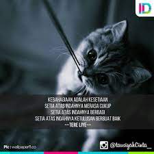  Jadilah Setia Untuk Bahagia