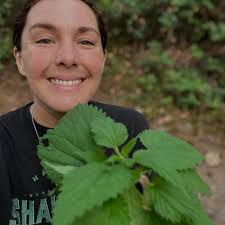 What are some retreat centers in Greece for yoga and therapy?