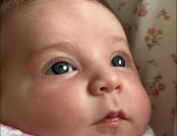 I'm dying to know the possible outcome of these babies. Mom is Turquoise  dad is Normal parents for dad are (Mom Normal/ Dad Pineapple Turquoise). I  Suspect some yellow sided Turquoise babies.