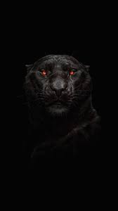 Pin On Animals Wallpapers