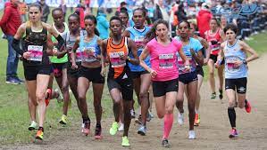 Plus dans cette catégorie : Championnats De France De Cross Country Tous A Plouay