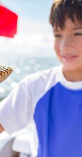 Official Guide to Crystal River and Citrus County, Florida