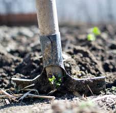 For the basics of clearing your land, you already made it on step 7. How To Clear Land By Hand Front Royal Landscape Services