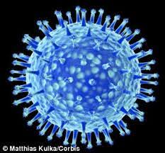 There are 4 types of seasonal influenza viruses, types a, b, c and d. Was The Spanish Flu A Bacteria Or Virus