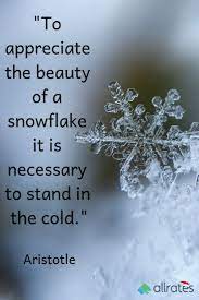 To Appreciate The Beauty Of A Snowflake It Is Necessary To Stand In The Cold Snowflake Quote Real Time Quotes Stock Market Quotes