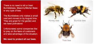 Bird nesting and roosting can cause many problems for your property. Pest Control Coventry Great Prices Pestbusters