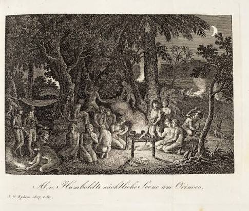 Entre art et science : dessins et méthodes de visualisation dans l'œuvre viatique d'Alexander von Humboldt